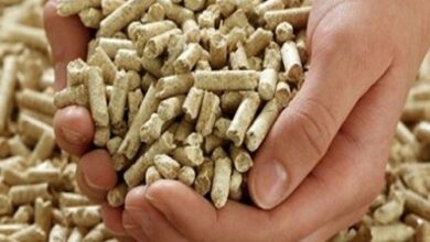 صورة اسعار الاعلاف في الاسواق اليوم الجمعة