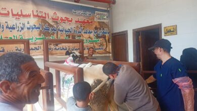 صورة «الزراعة »: قافلة بيطرية مجانية بمحافظة أسيوط لعلاج مواشي صغار المربين