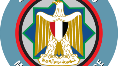 صورة وزير المالية : لا مجال للحديث عن التقديرات الجزافية مع تكامل الأنظمة الضريبية الإلكترونية