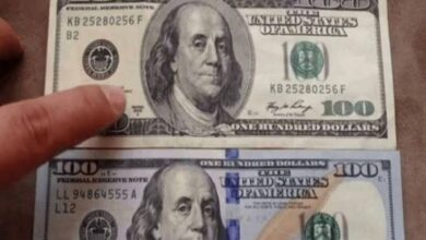 صورة الدولار عالميًا يستقر عند أعلى مستوى له منذ منتصف ديسمبر