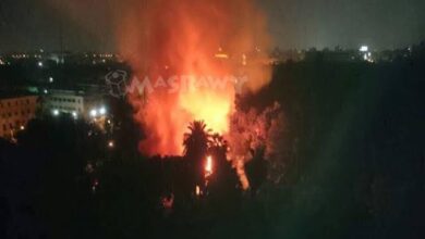 صورة مصدر يكشف حقيقة حريق حديقة الحيوان بالجيزة
