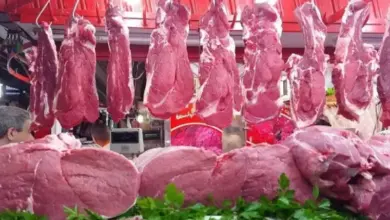 صورة الكندوز البلدي ب280جنيه.. اسعار اللحوم في الاسواق اليوم الثلاثاء