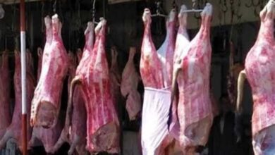 صورة تعرف على توابع انهيار الدولار على اسعار اللحوم والدواجن
