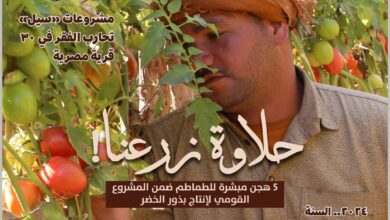 صورة “الزراعة” تصدر العدد الرابع عشر من مجلتها الشهرية «MALR»    