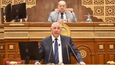 صورة الزراعة :  استراتيجية من 12 محورا لزيادة وتعزيز تنافسية الصادرات الزراعية المصرية