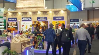 صورة  مصر تشارك في معرض برلين الدولى للخضر والفاكهة (صور)