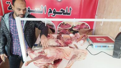 صورة محافظة الجيزة .. ضبط 3،5 طن لحوم ودواجن ومصنعاتهم غير صالحة للاستهلاك الادمي 