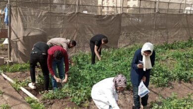 صورة المركزي للمناخ ينظم يوم حقلي لتدريب طلبة كليات الزراعة على ادارة الصوب الزراعية (صور)