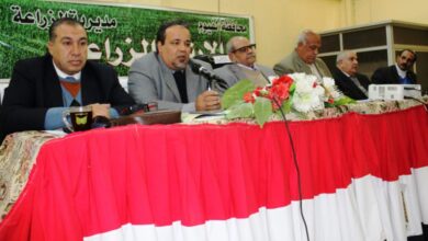 صورة ” الزراعة ” تنظم  المؤتمر الأول للنهوض بزراعة القطن لموسم 2024 بالفيوم