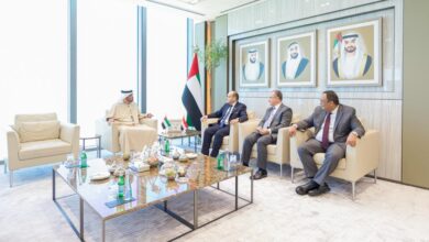 صورة وزير التجارة والصناعة ونظيره الإماراتي يبحثان سبل تعزيز العلاقات الاقتصادية المشتركة بين البلدين