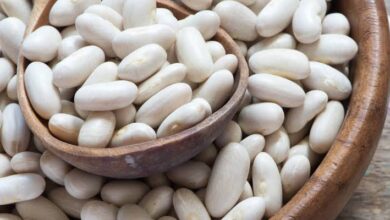 صورة توابع انهيار الدولار..  انخفاض اسعار طن  الفاصوليا  الي 20 الف جنيه.. وتوقعات بانخفاض الخضروات واللحوم