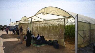 صورة وزيرة التضامن: 20 مليون جنيه لدعم المشروعات الصغيرة بالمنيا