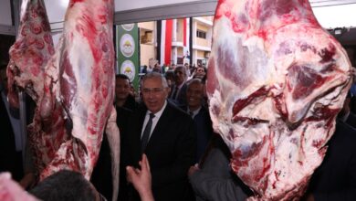 صورة وزير الزراعة ومحافظ الجيزة يفتتحان معرض خير مزارعنا لاهالينا للسلع والمنتجات الغذائية ومستلزمات رمضان(صور)