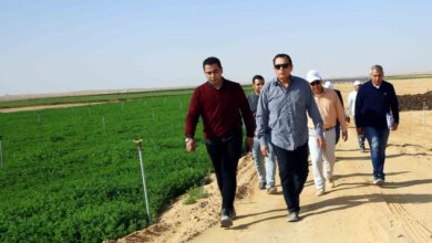 صورة  “الريف المصرى ” توفر السلع الغذائية لمنتفعى الـ ١.٥ مليون فدان بأسعار مخفضة(صور)