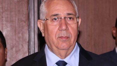 صورة وزير الزراعة : 9 مليارات دولار قيمة الصادرات الزراعية الطازجة والمصنعة (صور)