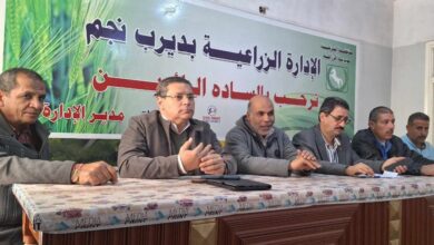 صورة بدء زراعة القطن في محافظة الشرقية
