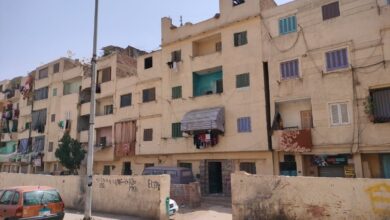 صورة الجيزة تزيل إشغالات الطريق بجزيرة الدهب ورفع تجمعات قمامة بمطلع كوبرى الطالبية