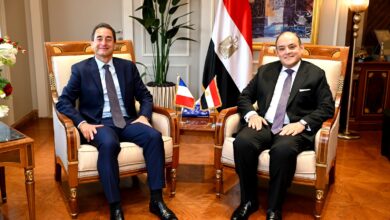 صورة تفاصيل لقاء وزير التجارة والصناعة يلتقي السفير الفرنسي بالقاهرة