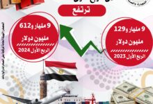 صورة التجارة والصناعة : الصادرات السلعية المصرية تسجل 9 مليار و612 مليون دولار بنسبة ارتفاع 5.3%