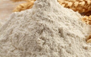 صورة مخابز القاهرة : 13% انخفاضاً بأسعار طن الدقيق