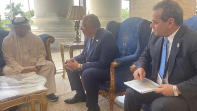 صورة وزير الزراعة يبحث مع رئيس الهيئة العربية للاستثمار والإنماء الزراعي منظومة الأمن الغذائي العربي 