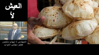 صورة رغيف العيش لأ.. نائب البرلمان أيهاب منصور يطالب الحكومة بالرحيل بسبب الخبز