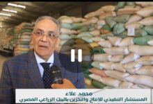 صورة تقرير مصور حول قيام البنك الزراعي المصري بتوريد القمح(فيديو)