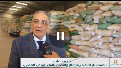صورة تقرير مصور حول قيام البنك الزراعي المصري بتوريد القمح(فيديو)