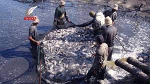 صورة د.اماني اسماعيل تكتب : أهداف تنمية المزارع السمكية