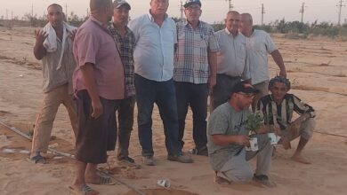 صورة وزير الزراعة يتابع تجربة زراعة الجوجوبا في غرب المنيا
