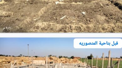 صورة محافظة الجيزة تزيل ٥٣ حالة بناء مخالف وتعديات علي الأراضي الزراعية بمساحه ٥٨٧٥م٢ بمراكز المحافظة
