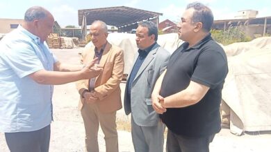 صورة معهد بحوث القطن يتابع زراعات القطن بالمحافظات