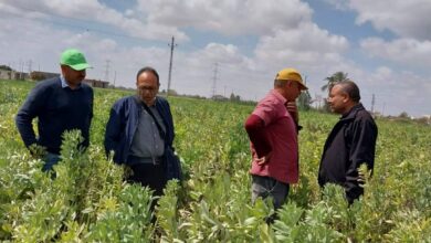 صورة أمراض النباتات يستعرض  نشاطة  خلال شهر يونيو2024 