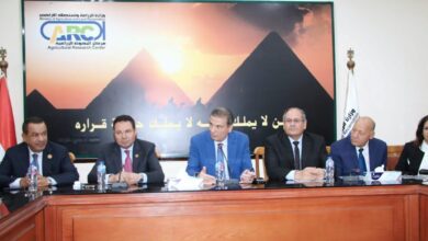 صورة وزير الزراعة :  العمل على إزالة كل معوقات التصدير(صور)