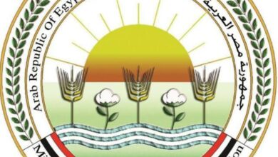 صورة “الزراعة” تحذر من التعامل مع شركات وهمية لطرح اراضي زراعية للبيع