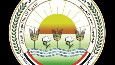صورة تنفى اغلاق حديقة الزهرية بالزمالك.. ” الزراعة “:  الحديقة مفتوحة أمام الجمهور