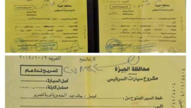 صورة محافظ الجيزة: ضبط ١٥٠ حالة مخالفة لسيارات السرفيس لتقطيع خطوط السير وتحصيل أجرة أزيد من التعريفة 