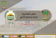 صورة ازالة التعديات على الاراضي الزراعية وتوزيع تقاوي البطاطس.. “الزراعة في اسبوع”(انفوجراف )