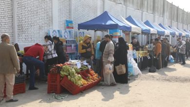 صورة محافظة الجيزة: سوق اليوم الواحد بالعمرانية يفتح ابوابه للمواطنين غداً الاثنين