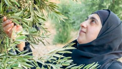 صورة البنك الأوروبي لإعادة الإعمار والتنمية يقدم قرضاً لفيتاس فلسطين بقيمة 5 ملايين دولار أمريكي
