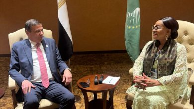 صورة “الاتحاد الافريقي” يبحث إعتماد مراكز التغيرات المناخية في مصر لنقل الخبرات الى القارة السمراء
