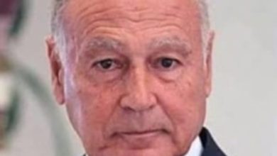 صورة ابوالغيط : الدعم العربي للموقف المصري الاردني برفض تهجير الفلسطينيين