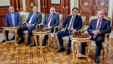 صورة تفاصيل رئيس جمهورية تشاد  بوزير الصناعة والنقل المصري وممثلي وفد شركات القطاع العام والخاص