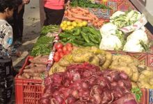 صورة “الزراعة” تعلن عن قفزة كبيرة في الصادرات الزراعية.. تجاوزت 4.8 مليون طن
