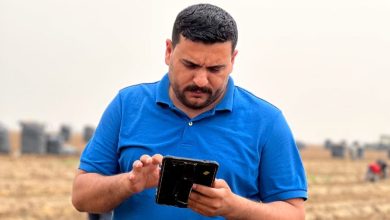 صورة فحص أكثر من مليون طن بطاطس مائدة معدة للتصدير لمختلف دول العالم