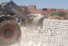 صورة الإصلاح الزراعي” يتابع حصاد القمح لدى المنتفعين وجهود إزالة التعديات على الأراضي الزراعية