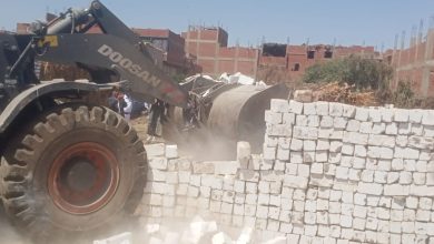 صورة الإصلاح الزراعي” يتابع حصاد القمح لدى المنتفعين وجهود إزالة التعديات على الأراضي الزراعية