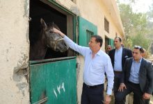 صورة وزير الزراعة ومحافظ القاهرة يتفقدان محطة الزهراء للخيول العربية الأصيلة