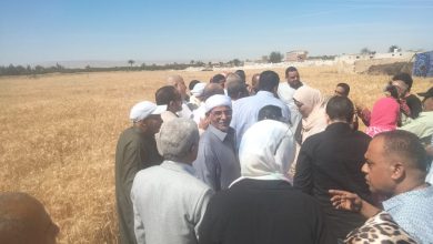 صورة محافظ السويس يفتتح موسم حصاد القمح من قرية الشلوفة