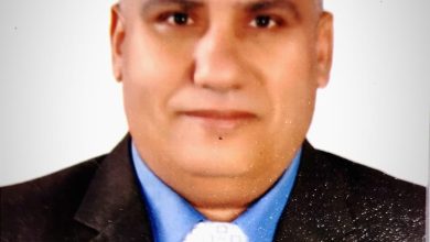 صورة د.سعد محجوب يكتب : الرعاية الغذائية لحالات النحافة وناقصي الوزن